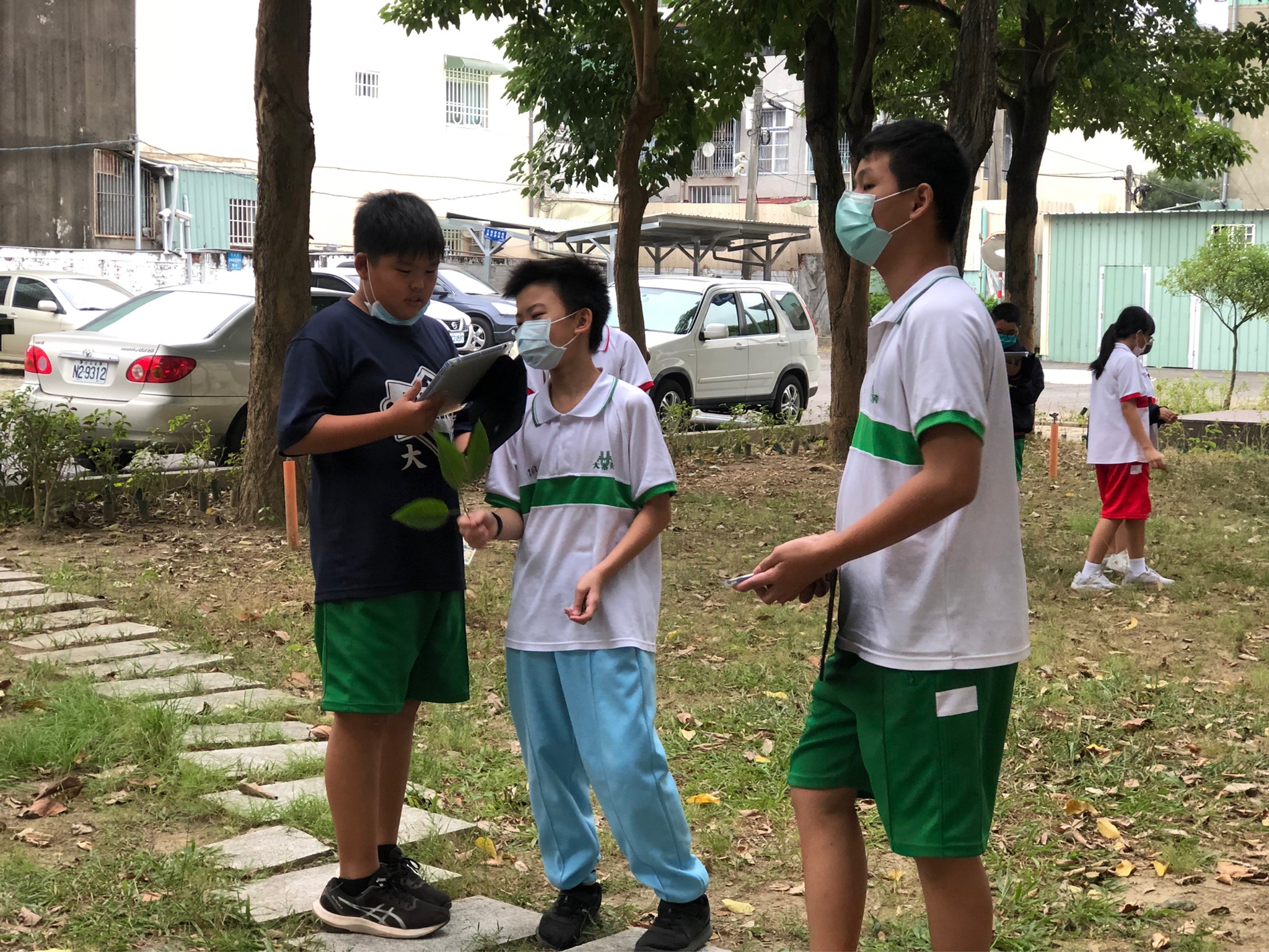 Students collecting leaves