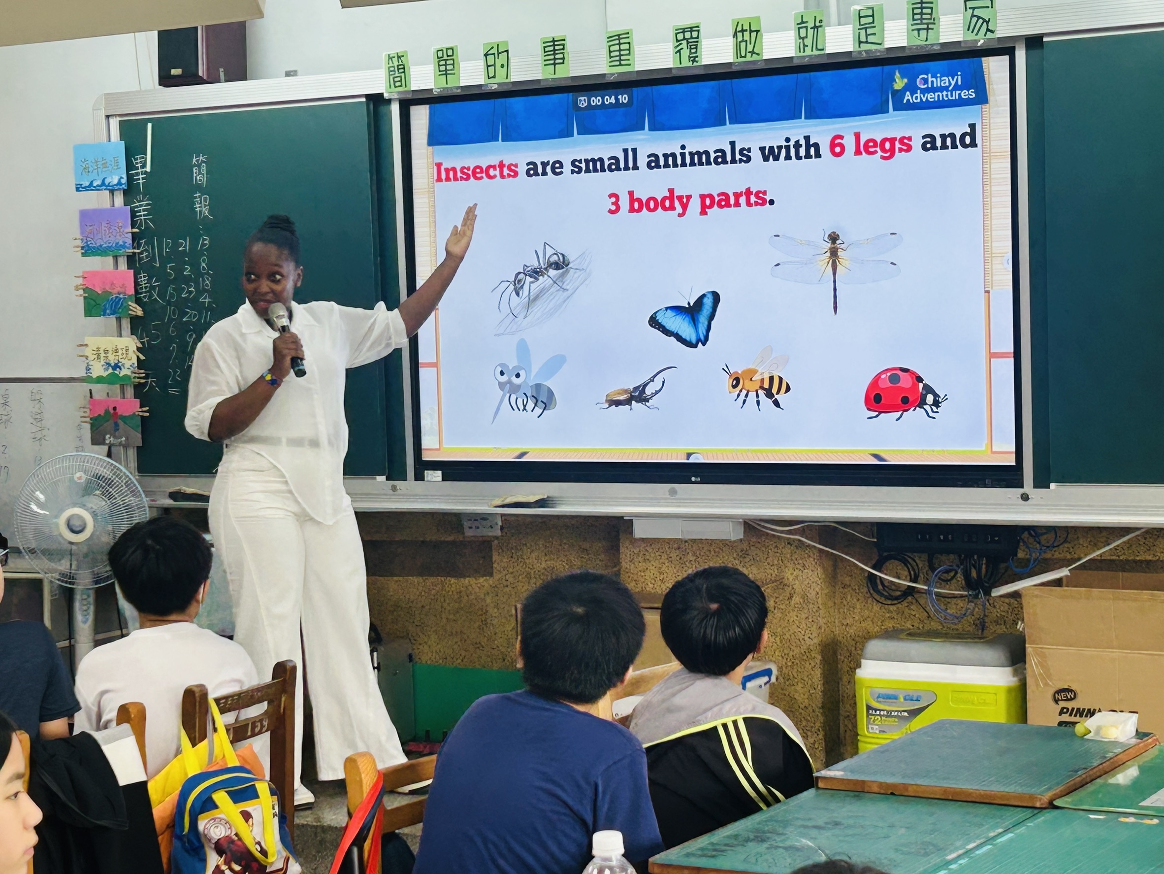 the teacher introduced eight common insects