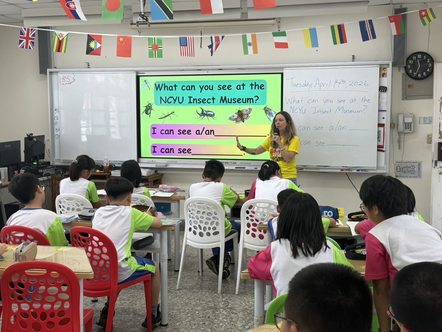 Singular and plural noun practice